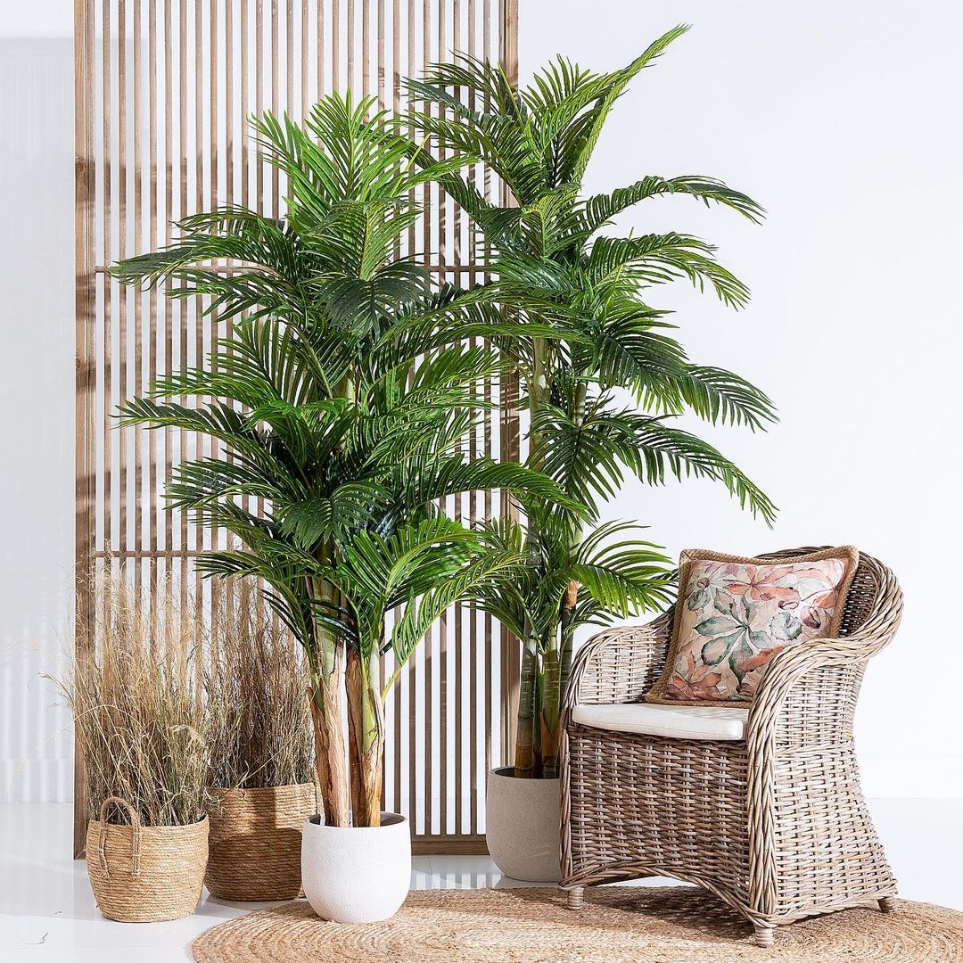 Decorar con plantas: acierta seguro con ideas de una decoradora, una  estilista, dos expertas en plantas y un exteriorista