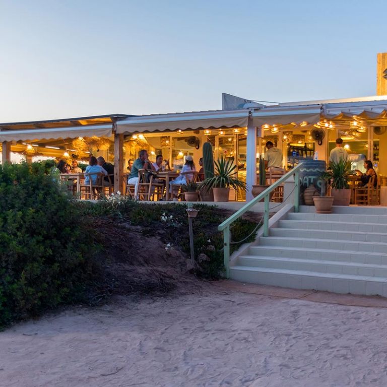 Es Codol Foradat Nandu Jubany